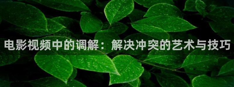 新闻图片