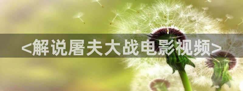 新闻图片