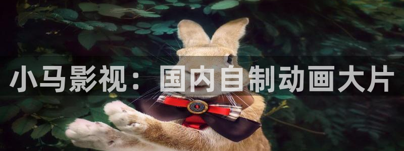 光棍天堂在线播放免费