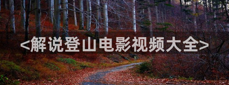 6080yy电影天堂