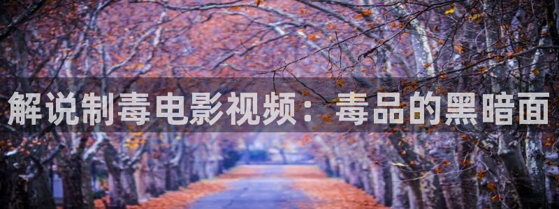 光棍天堂电影网在线