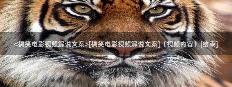 超碰在线97男人的天堂